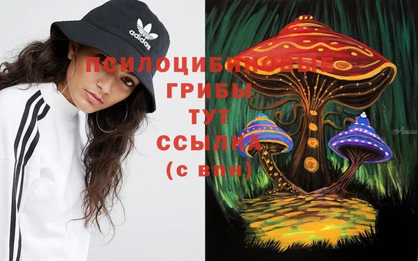 а пвп мука Арсеньев