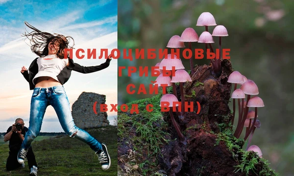 мет Армянск