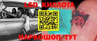 гидропоника Краснокаменск