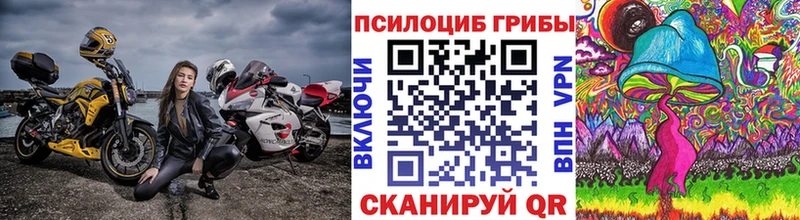 Псилоцибиновые грибы MAGIC MUSHROOMS Коломна